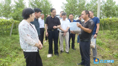 王郑华督办重点提案办理情况