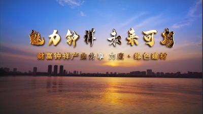 钟祥五大产业之力度•绿色建材