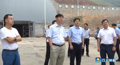 邵祖江调研钟祥重点项目建设情况