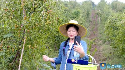 “屏展示，屏选购” “网红”直播带动水果畅销