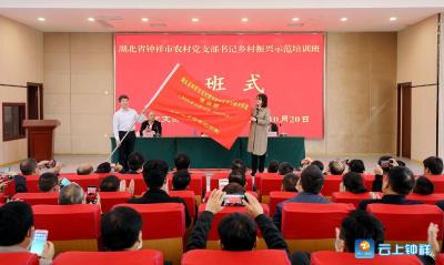 钟祥市农村党支部书记乡村振兴示范培训班走进河南濮阳