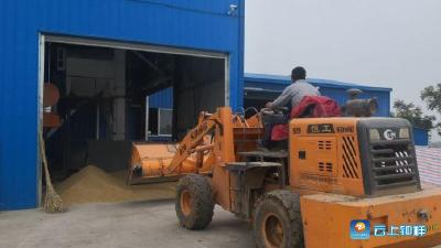 钟祥市将再建77个粮食烘干点  日均烘干粮食两万吨