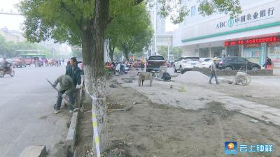 农行钟祥阳春支行：修复破损路面  方便市民出行