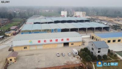 真香！钟祥首个7D菜籽油加工项目试生产成功