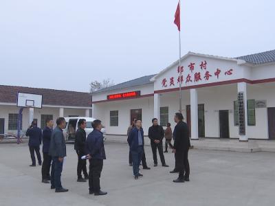 何平在胡集镇调研基层组织建设和软弱涣散村整顿提升工作