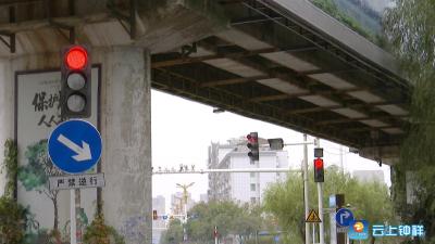 钟祥交警来支招，教驾驶员看复杂的信号灯