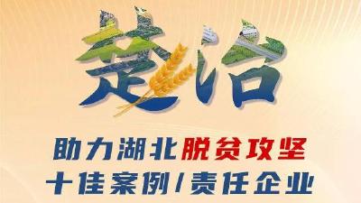还有5天！“楚治”网络投票开启，请为钟祥这家企业投票！