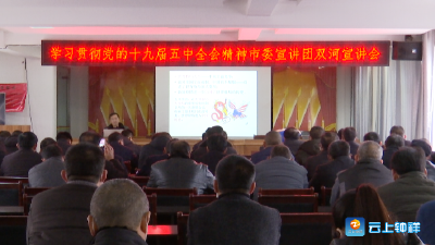 钟祥市委宣讲团为双河镇党员干部宣讲十九届五中全会精神