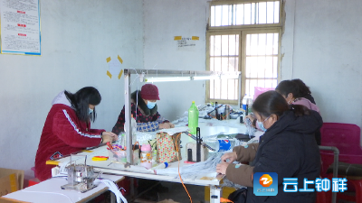 柴湖镇沙楼村：能人返乡  带富一方