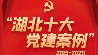 快来为钟祥投票！2019-2020年度“湖北十大党建案例”评选活动启动 