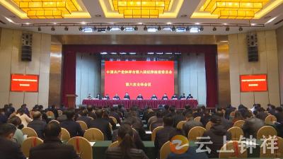 何平在市纪委六届六次全会上强调：一以贯之推动全面从严治党向纵深发展，为建设“四个钟祥”、跻身“四个百强”提供坚强政治保证 