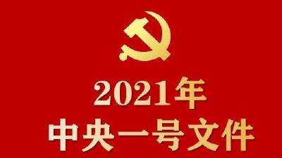 全面推进乡村振兴！2021年中央一号文件发布 