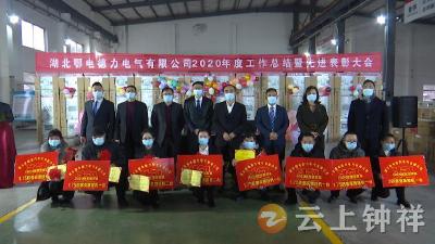 销售逆势增长!湖北鄂电德力电气有限公司表彰先进员工