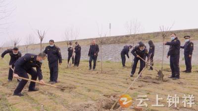 钟祥市城管执法局开展义务植树 为城区增绿