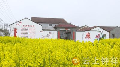 美丽乡村行   胡集镇：生态罗山更宜居