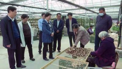 宋育英调研钟祥乡村振兴等工作