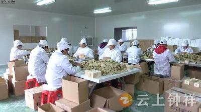 钟祥市葛粉订单充足生产忙  葛产业专业合作社启用新“武器” 力争实现开门红