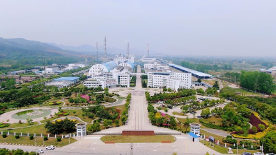 支柱产业