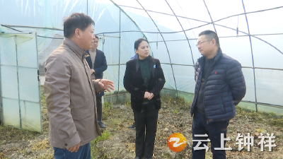 何平调研长滩镇域经济发展情况