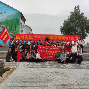 我为家乡添新绿” 巾帼助力乡村振兴胡集镇妇联开展新时代文明实践志愿服务活动