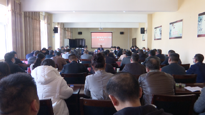 钟祥市卫健系统召开党史学习教育动员会