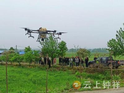 刻不容缓！双河镇打响小麦赤霉病“防控战”