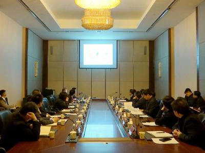 何平听取大明承天府文旅项目概念规划方案汇报