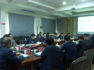 钟祥市政府专题研究大明承天府概规策划方案