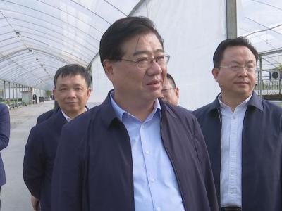 柯俊在钟祥调研农业生产和防汛备汛等工作
