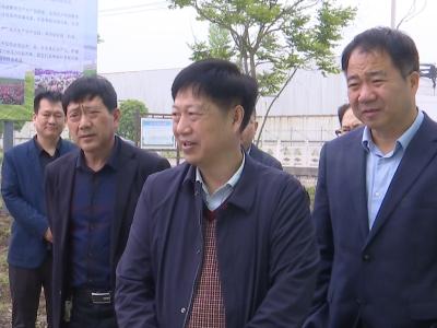 周友坤在钟祥市调研“一枝花”工程建设开展情况