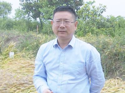 何平检查防汛备汛 指导灾后自救工作