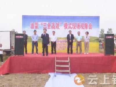 钟祥油菜“三全高效”模式获国家权威机构肯定推广