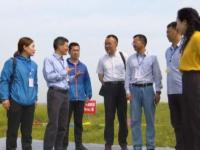 赞！钟祥油菜绿色高效生产经验在全省推广