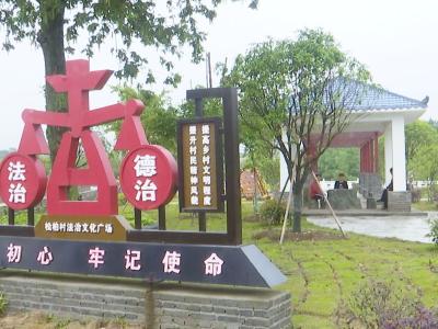 冷水镇松柏村：谋村民共富  促松柏挺立