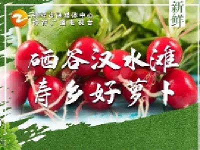钟祥市旧口萝卜养生文化旅游节5月25日开幕！寿乡好萝卜，邀您来品尝！附:直播链接 