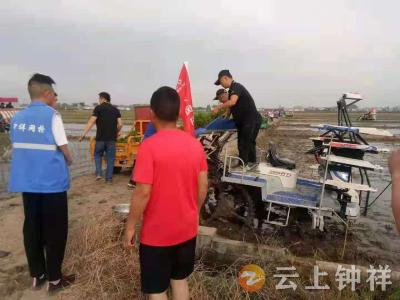 钟祥这里，用上了无人驾驶插秧机！