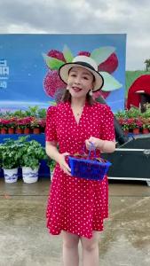 寿乡杨梅红了，好吃的很！