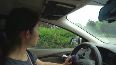 《橙子说事儿》让人担心的绿化带