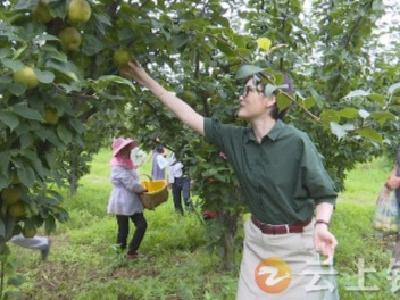 风景好！果子甜！钟祥市铜钱山生态农业园不一般......