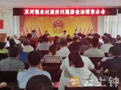钟祥市双河镇：学党史 办实事 扎实开展户厕问题摸排工作 