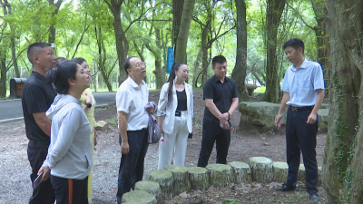 中国小康建设研究会考察钟祥特色小镇建设情况