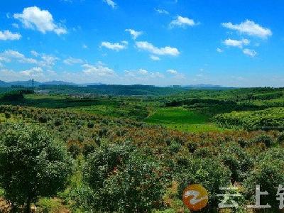 钟祥市精准灭荒获省政府100万元奖励