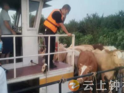 为了“牛”的希望，钟祥海事再出航