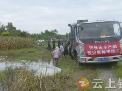 水产受灾面积1.3万亩，钟祥市免费发放240万尾鱼种