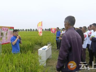 丰收啦！中化现代农业举办“丰年万穗”活动欢庆农民丰收节