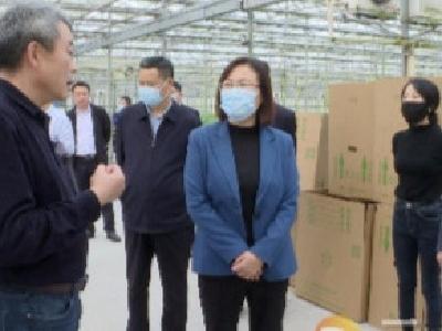 赵少莲在钟祥调研时强调：做好提升文章  扎实推进乡村振兴