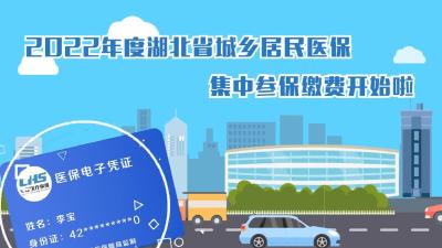 2022年度湖北城乡居民医保参保缴费宣传视频