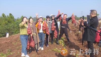 钟祥：农特产品搭上“电商快车”