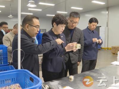 马萍调研钟祥民族工作