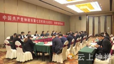 李定建参加旧口 张集代表团讨论